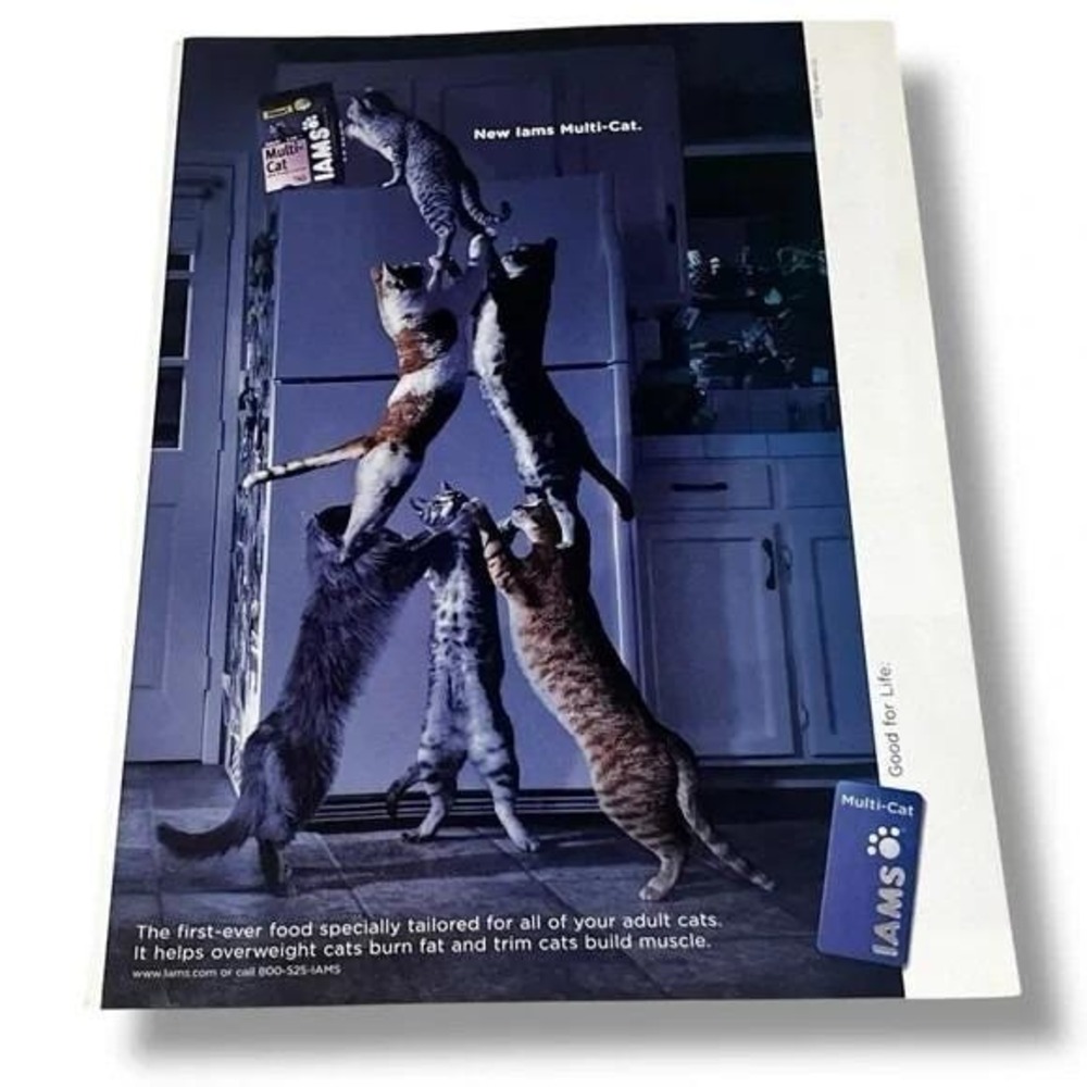 2006 Iams New Iams Multi-Cat Original Vintage Print Ad
